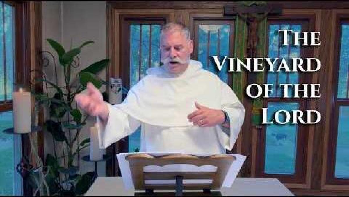 27th Sunday in Ordinary Time | The Parable of the Vineyard