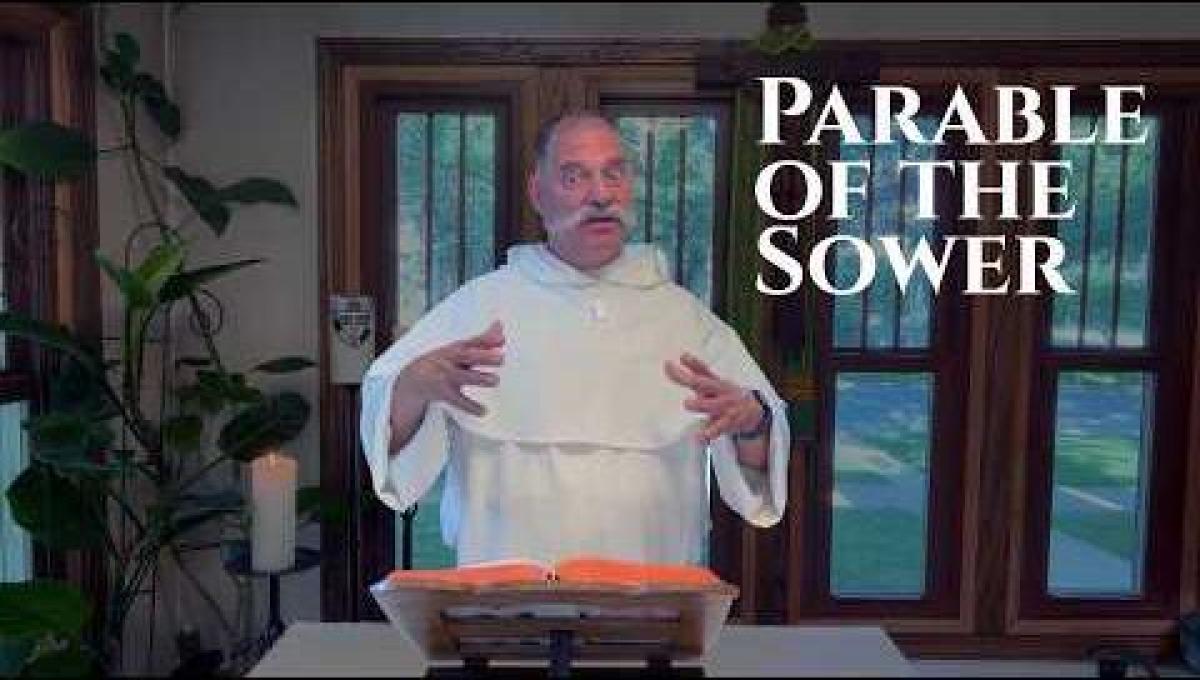15th Sunday in Ordinary Time: The Parable of the Sower, Why Some Believe and Some Don't