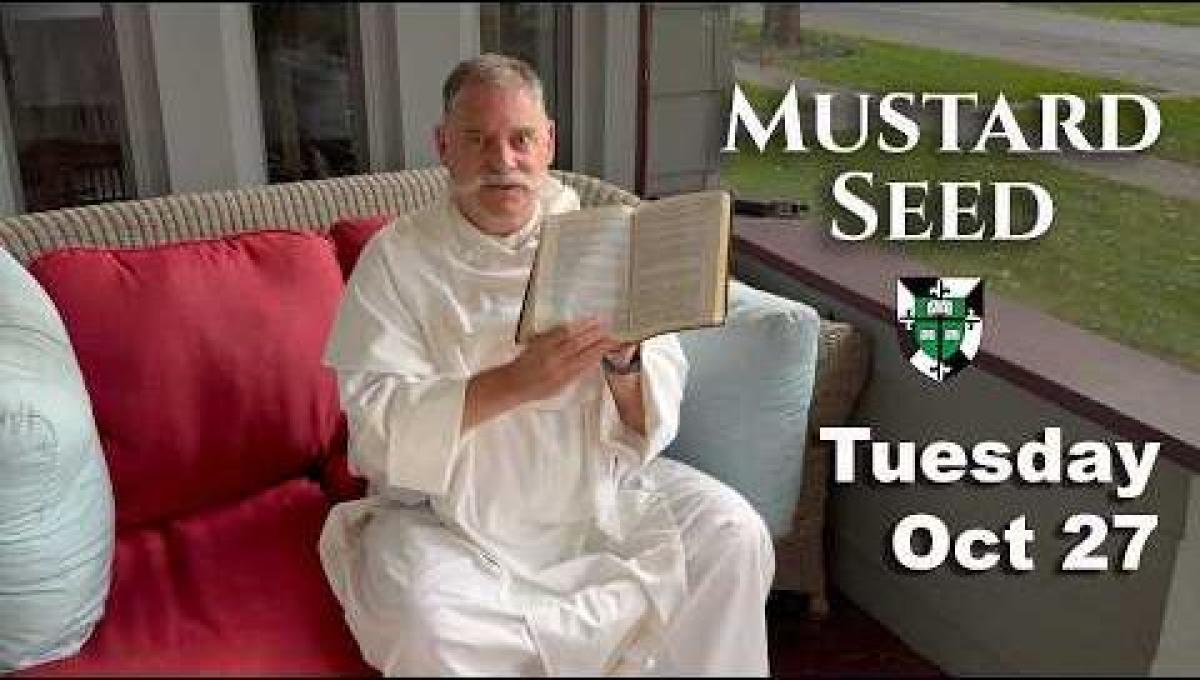 The Mustard Seed: Your Small Acts of Kindness Aren't Small 