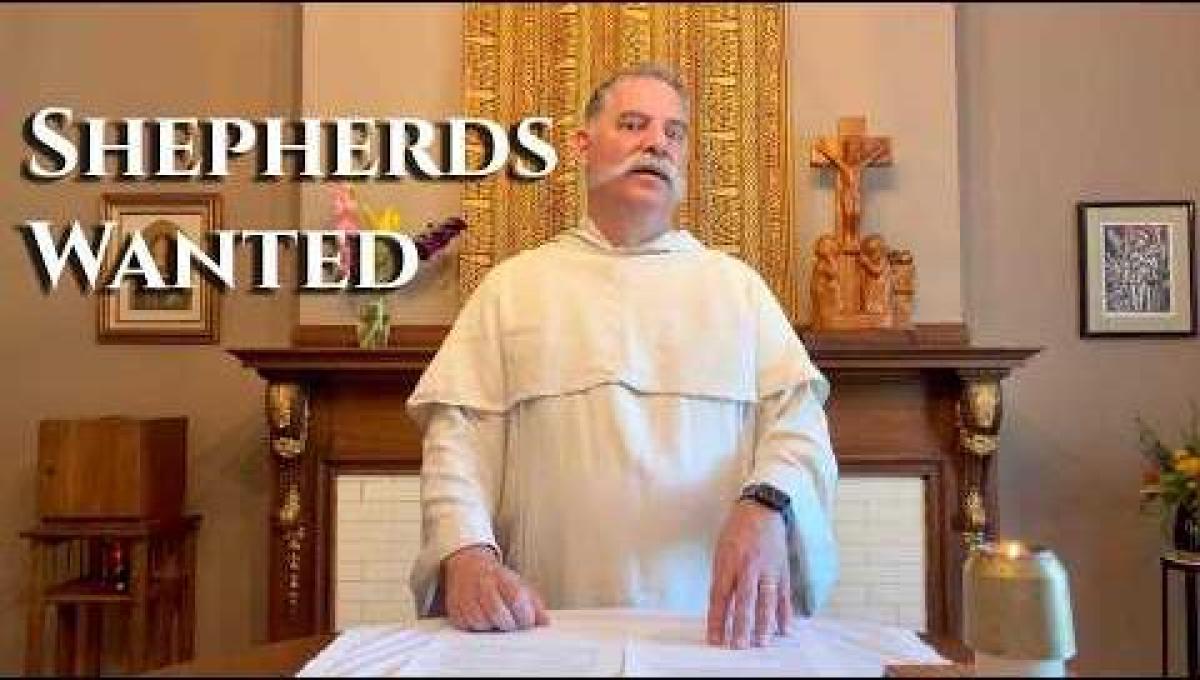 The Eleventh Sunday in Ordinary Time: Becoming Shepherds for a New Israel