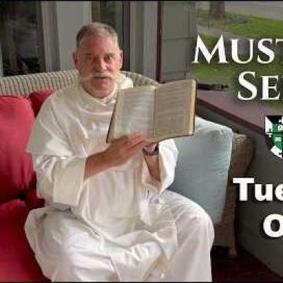 The Mustard Seed: Your Small Acts of Kindness Aren't Small 