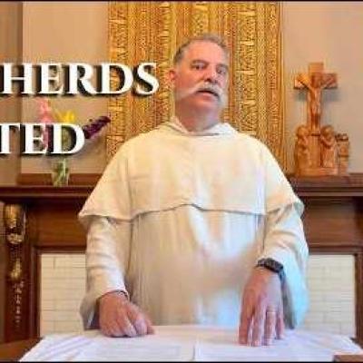 The Eleventh Sunday in Ordinary Time: Becoming Shepherds for a New Israel